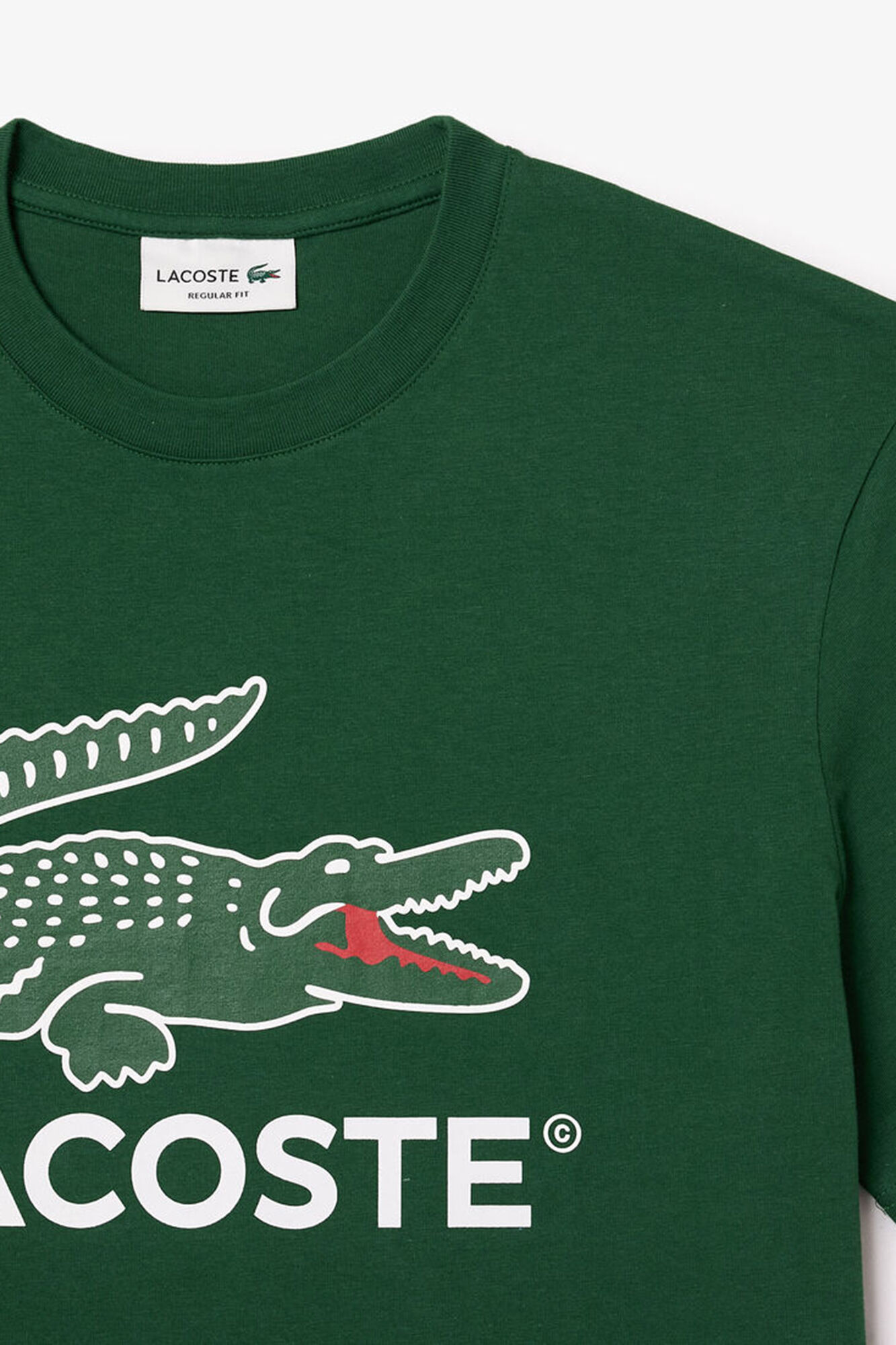 Lacoste Camiseta de algod&oacute;n con estampado Signature