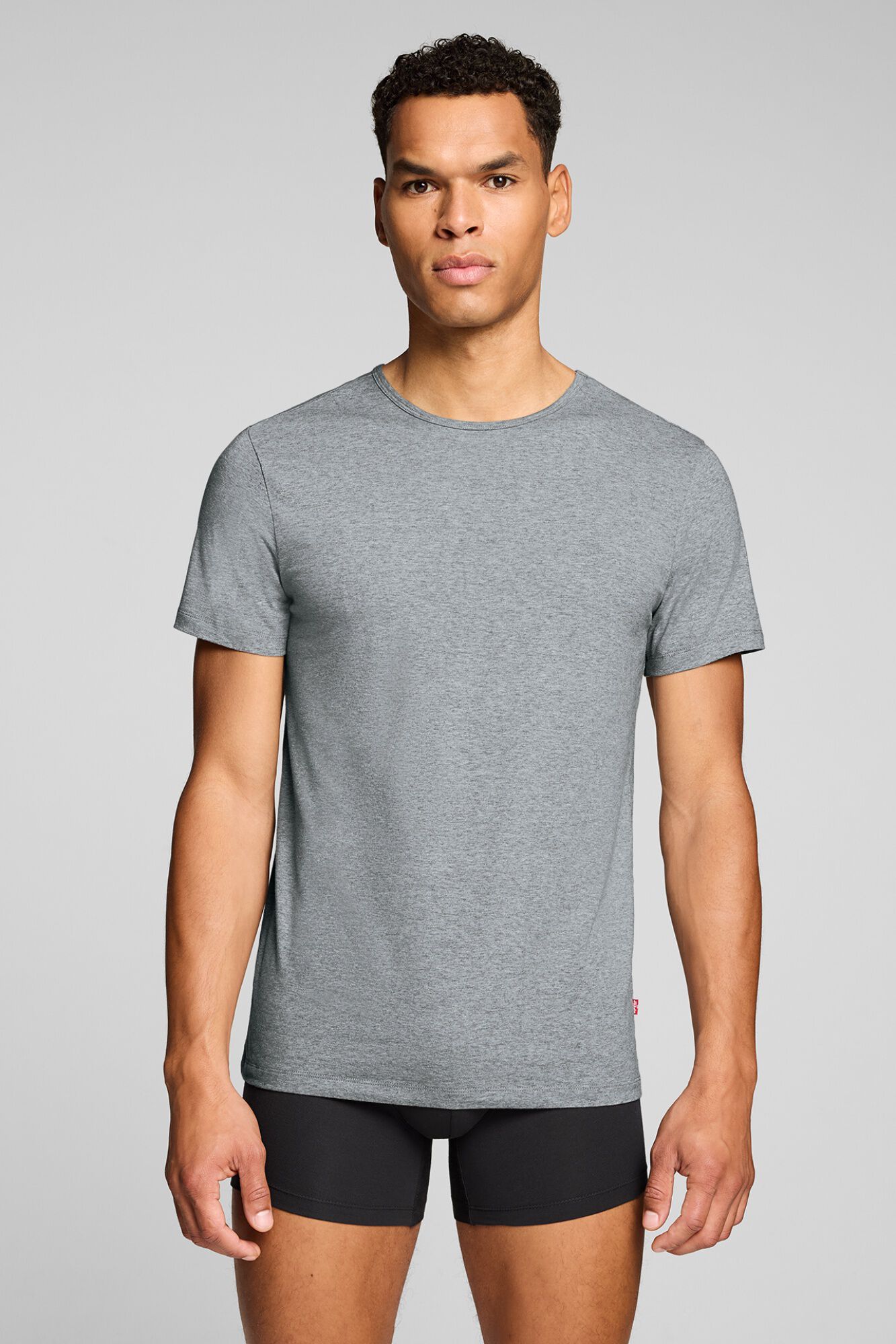 Levi's Levi's&reg; men's T-shirt (pack of 2)