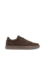 Geox Sapatilhas U Baltmoore Castanho