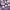 Roxo