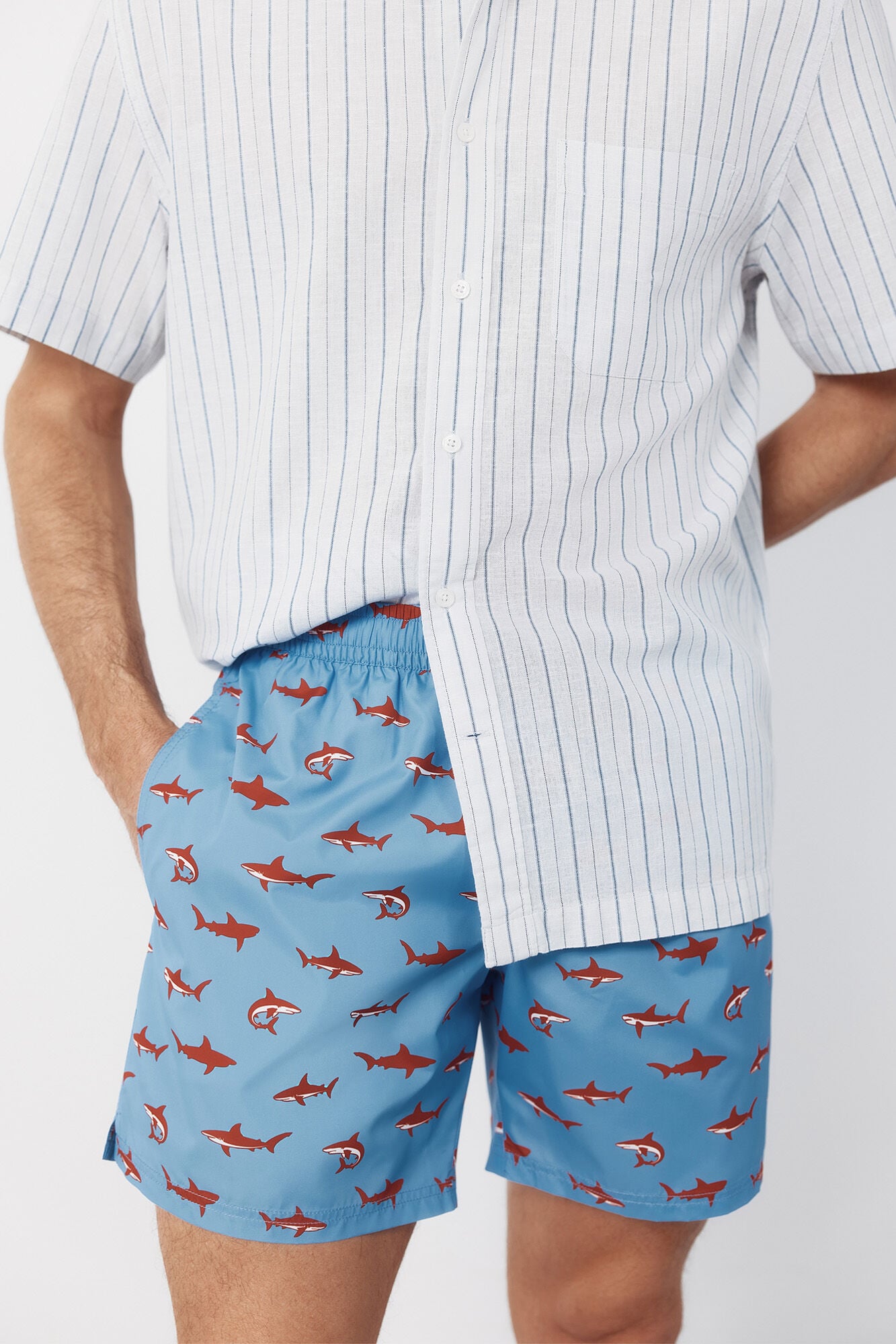 Cortefiel Shark print swimwear Blue