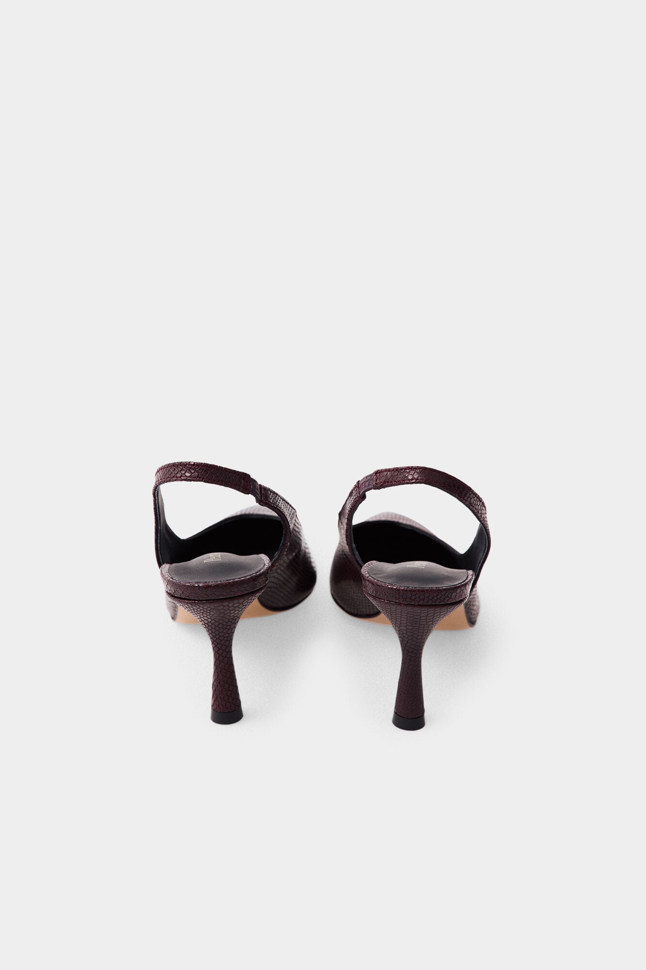 Pedro del Hierro Snake print pointed heel Brown